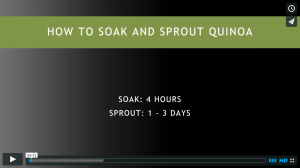 how to soak and sprout quinoa